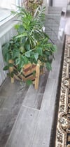 Modern Rustic Solid Wood Planters