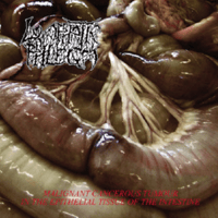 Image 1 of Lymphatic Phlegm / Flesh Grinder LP