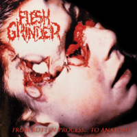 Image 2 of Lymphatic Phlegm / Flesh Grinder LP