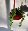 Hanging String of Pearls