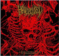 Hatefilled "A Manual Of Heinous Ways In Disembowelment"