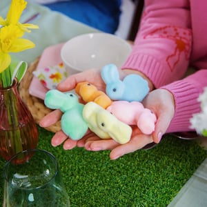 Image of Pastel Felt Bunny Set