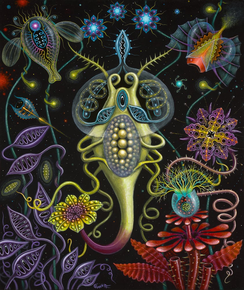 Image of VISITANT • Signed Open Edition