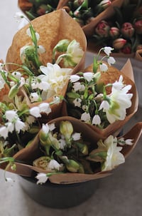 Image 3 of Floral FUNdamentals Workshop :: HELLO HELLEBORES & EARLY SPRING BULBS