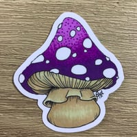 Image 2 of Magic Toadstools Sticker Set