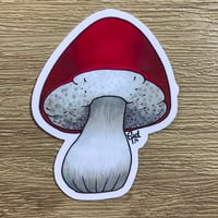 Image 3 of Magic Toadstools Sticker Set