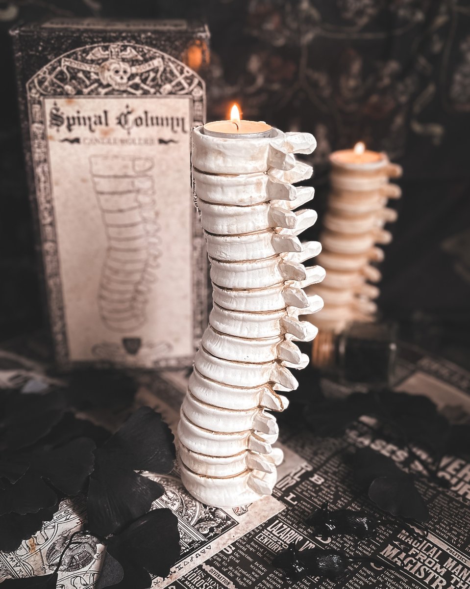 Spinal Column Candle Holder