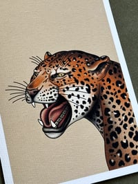 Image 1 of Felidae