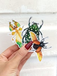 Image 1 of Insect Stickers Set, Rhino Beetle, Leaf Insect and Chafer Bug