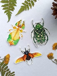 Image 2 of Insect Stickers Set, Rhino Beetle, Leaf Insect and Chafer Bug