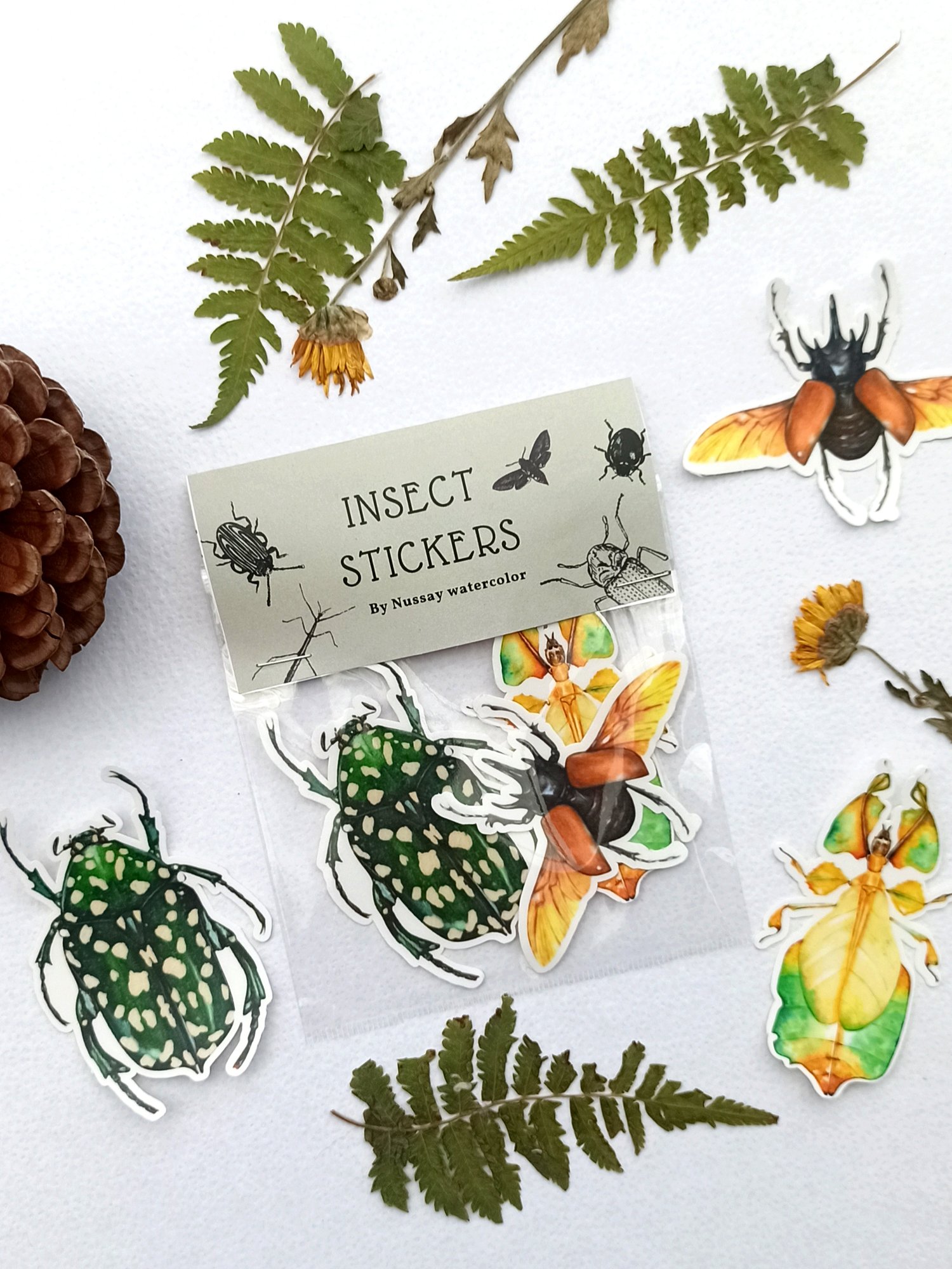 Image of Insect Stickers Set, Rhino Beetle, Leaf Insect and Chafer Bug