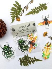 Image 3 of Insect Stickers Set, Rhino Beetle, Leaf Insect and Chafer Bug