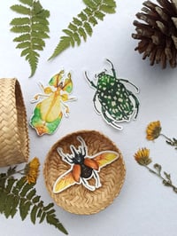 Image 4 of Insect Stickers Set, Rhino Beetle, Leaf Insect and Chafer Bug