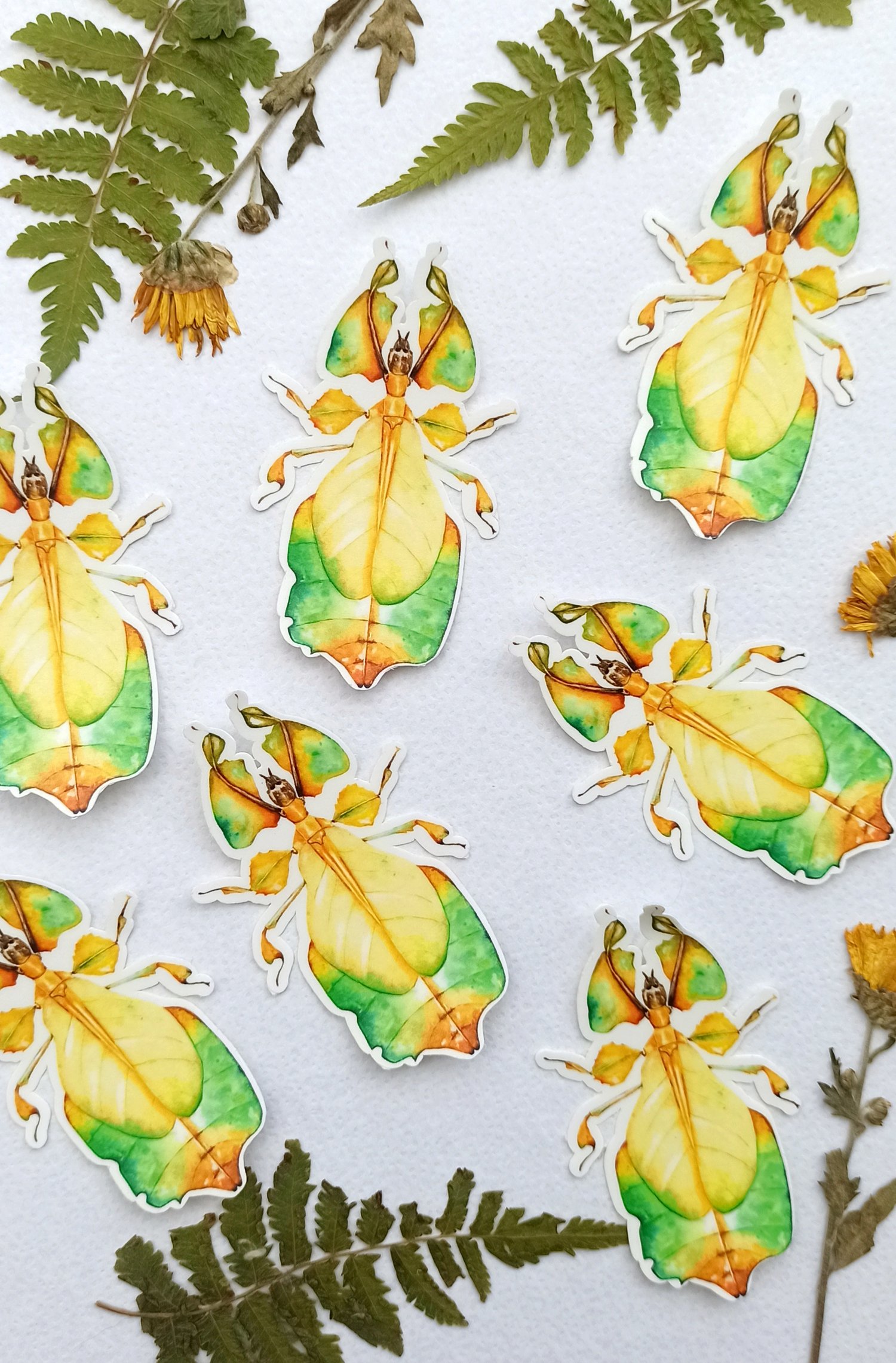 Image of Leaf Insect Waterproof Sticker 