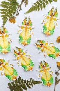 Image 2 of Leaf Insect Waterproof Sticker 