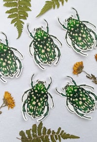 Image 2 of Protaetia Flower Beetle Waterproof Sticker 