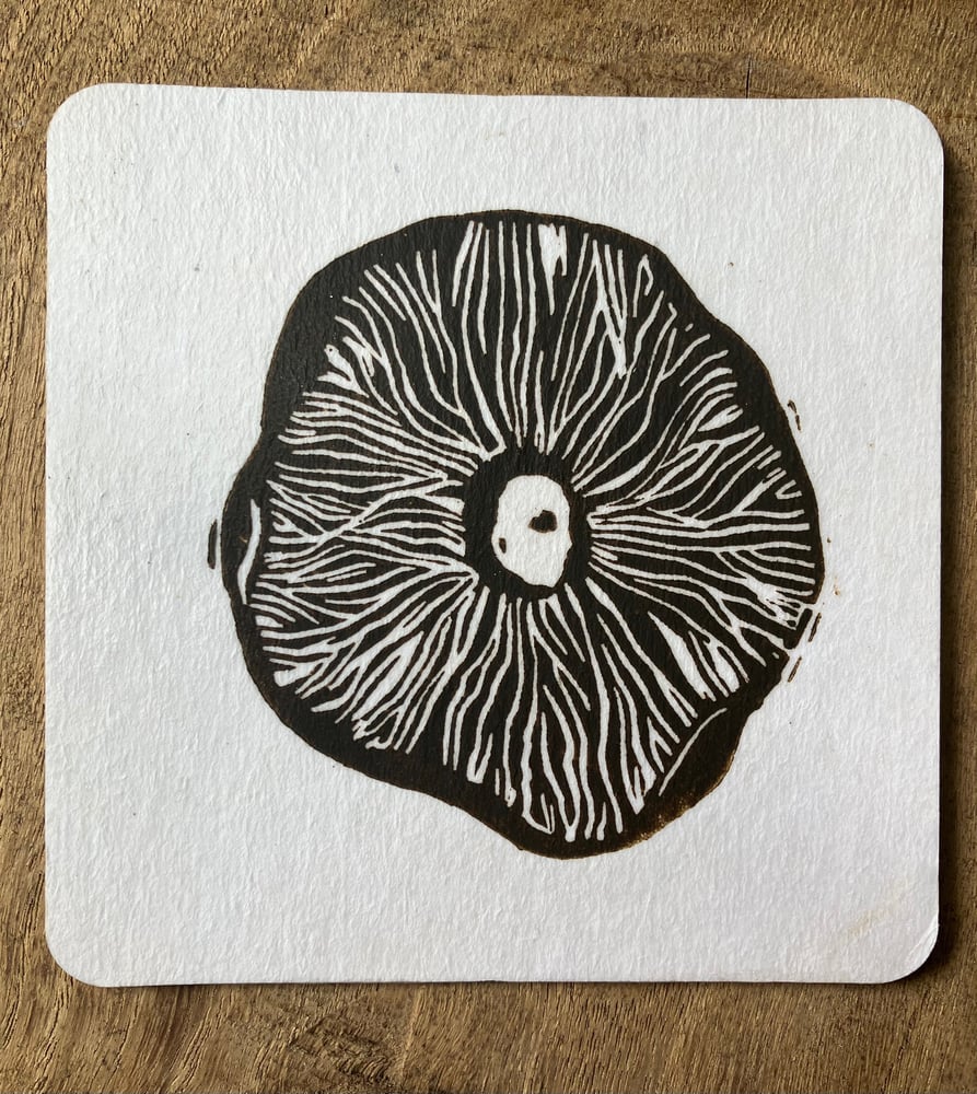 Image of Coasters—Funghi Collection—5 handprinted coasters