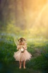 The Enchanted Fairy Experience
