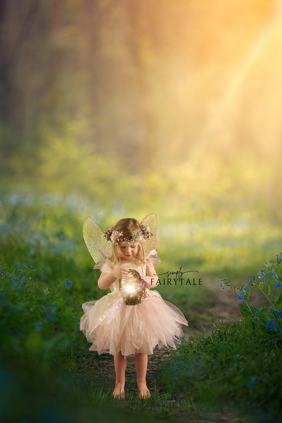 Image of Fairy Mini 