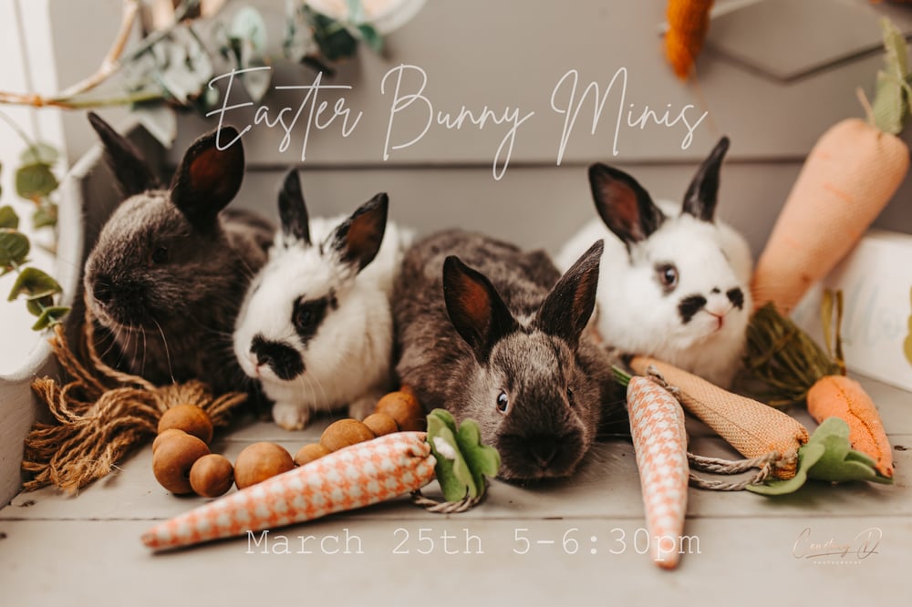Image of Easter/Spring Minis