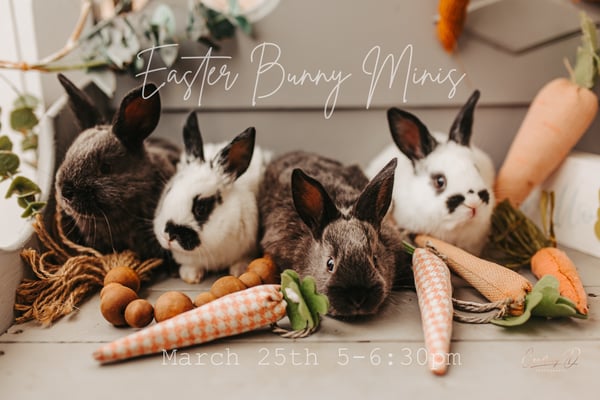 Image of Easter Bunny Minis