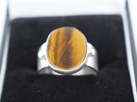 Image 1 of Eye of the Tiger 