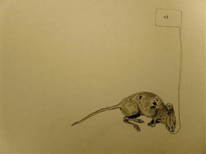 Image of <3 rat