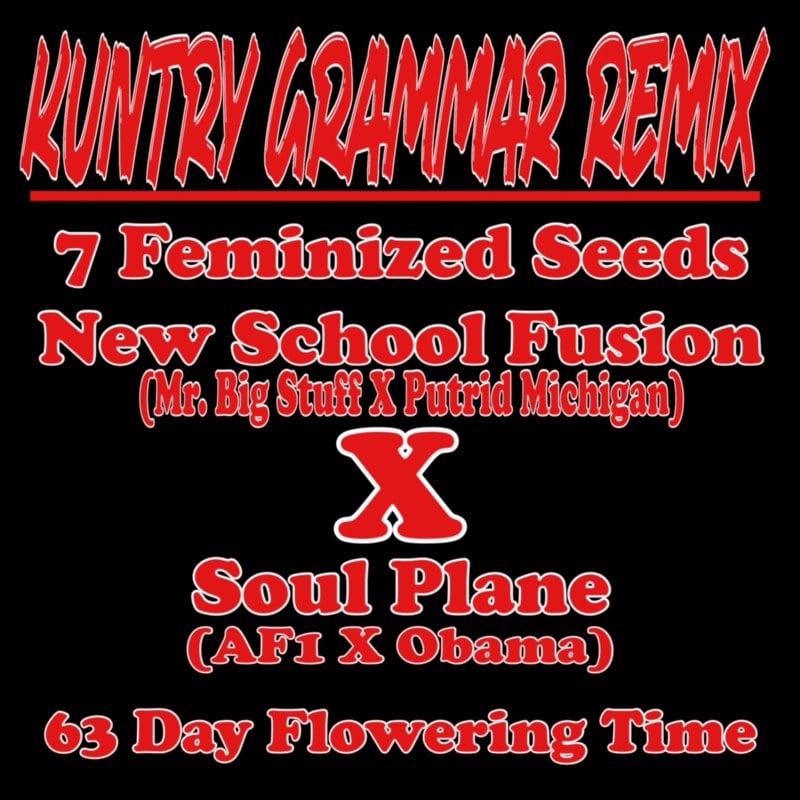 Image of Kuntry Grammer remix 