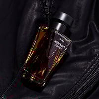 Image 2 of Absolute Leather