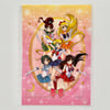Sailor Moon Hong Kong Limited Clear File Set