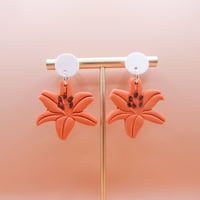 Image 2 of Lirio - pumkin 