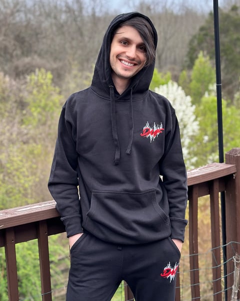 Image of (h) THE DEBUT DMF Hoodie