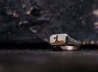 Image 4 of Anubis Signet