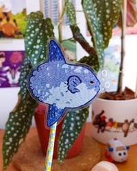 Image 2 of Sunfish Clear Vinyl Sticker