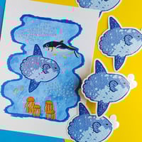 Image 4 of Sunfish Clear Vinyl Sticker