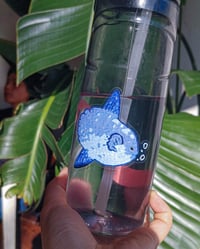 Image 3 of Sunfish Clear Vinyl Sticker