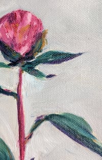 Image 2 of A Peony