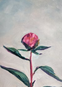 Image 4 of A Peony