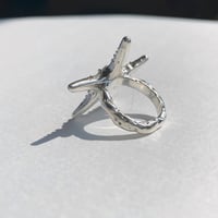 Image 3 of starfish ring