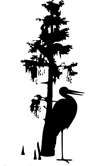 Southern Cypress Tree and Egret Decal