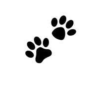 paw prints