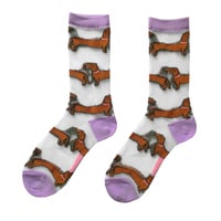 Image 2 of CouCou Suzette - Dachshund Sheer Socks