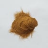 Cordyceps Militaris x25 Extract