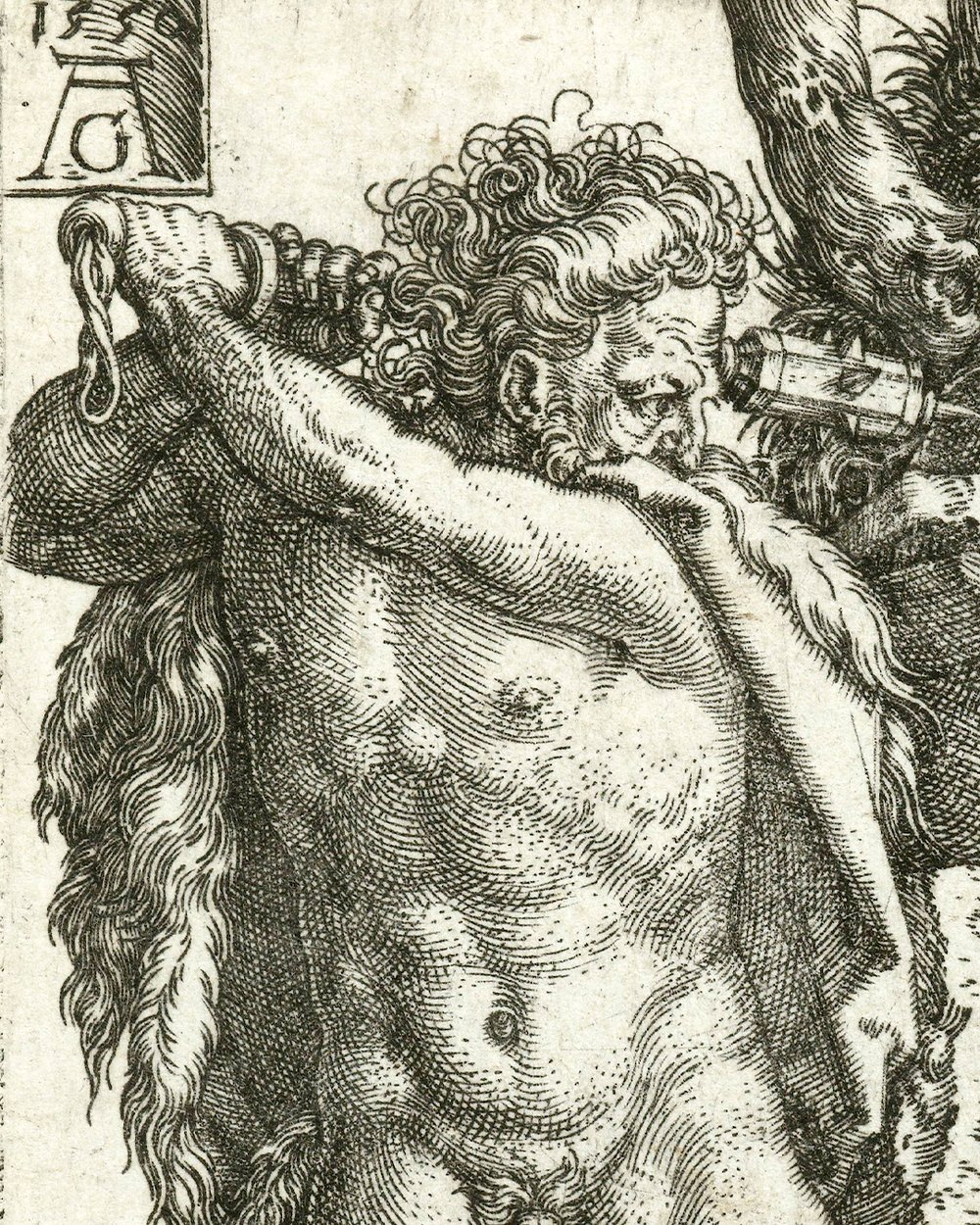 ''Hercules slaying the Lernaean Hydra'' (1550)