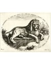 ''The Lion'' (1588 - 1592)