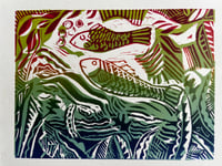 Colourful fish 3 (unframed)