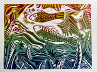 Colourful fish 2 (unframed)