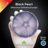 Black Pearl Oyster (Pleurotus Ostreatus Eryngii) Live Mycelium Mushroom Culture Spawn Seed