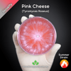 Pink Cheese (Tyromyces Roseus) Live Mycelium Mushroom Culture Spawn Seed