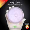 King Tuber Oyster (Pleurotus Tuber-regium) Live Mycelium Mushroom Culture Spawn Seed